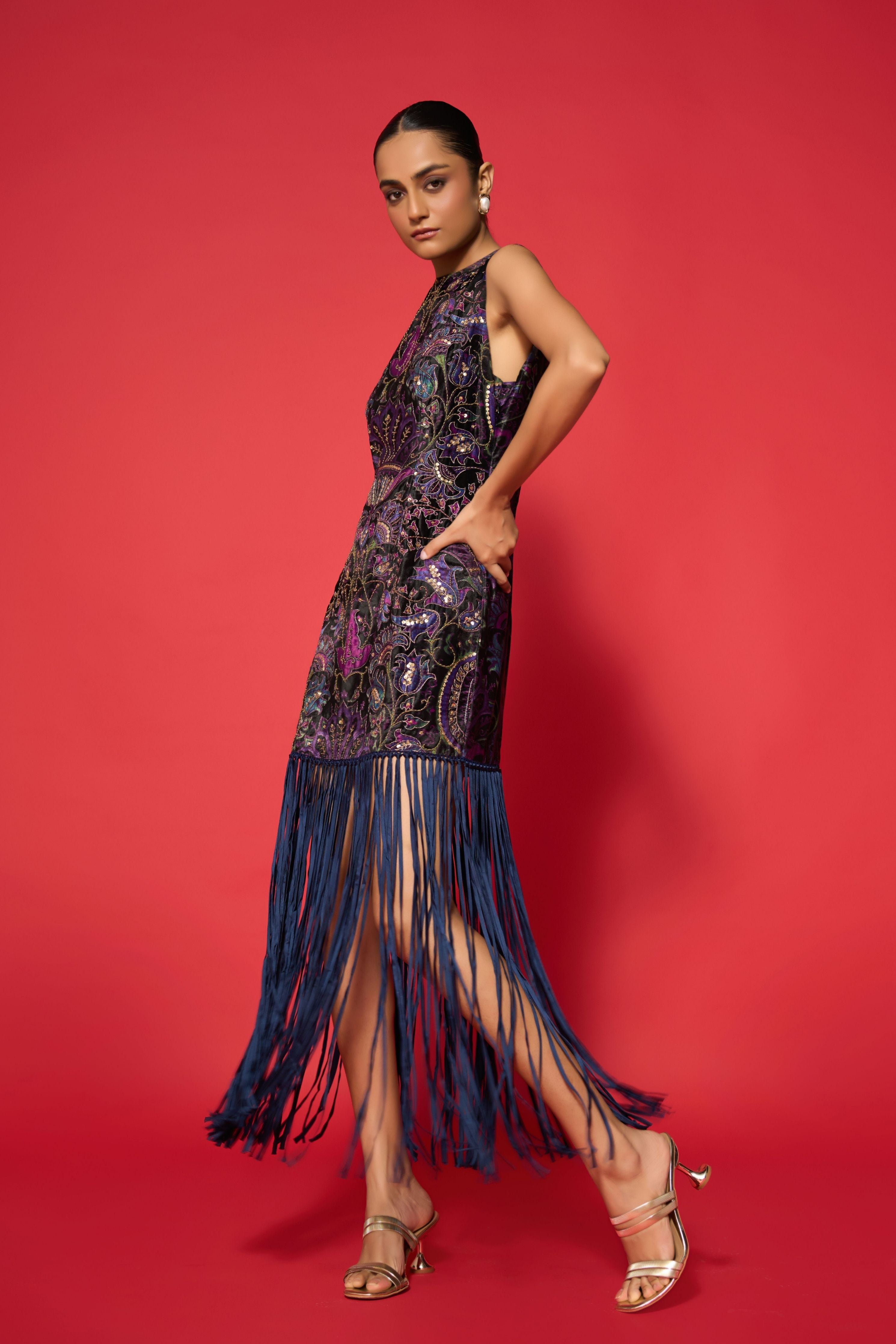 Arya Embroidered Dress