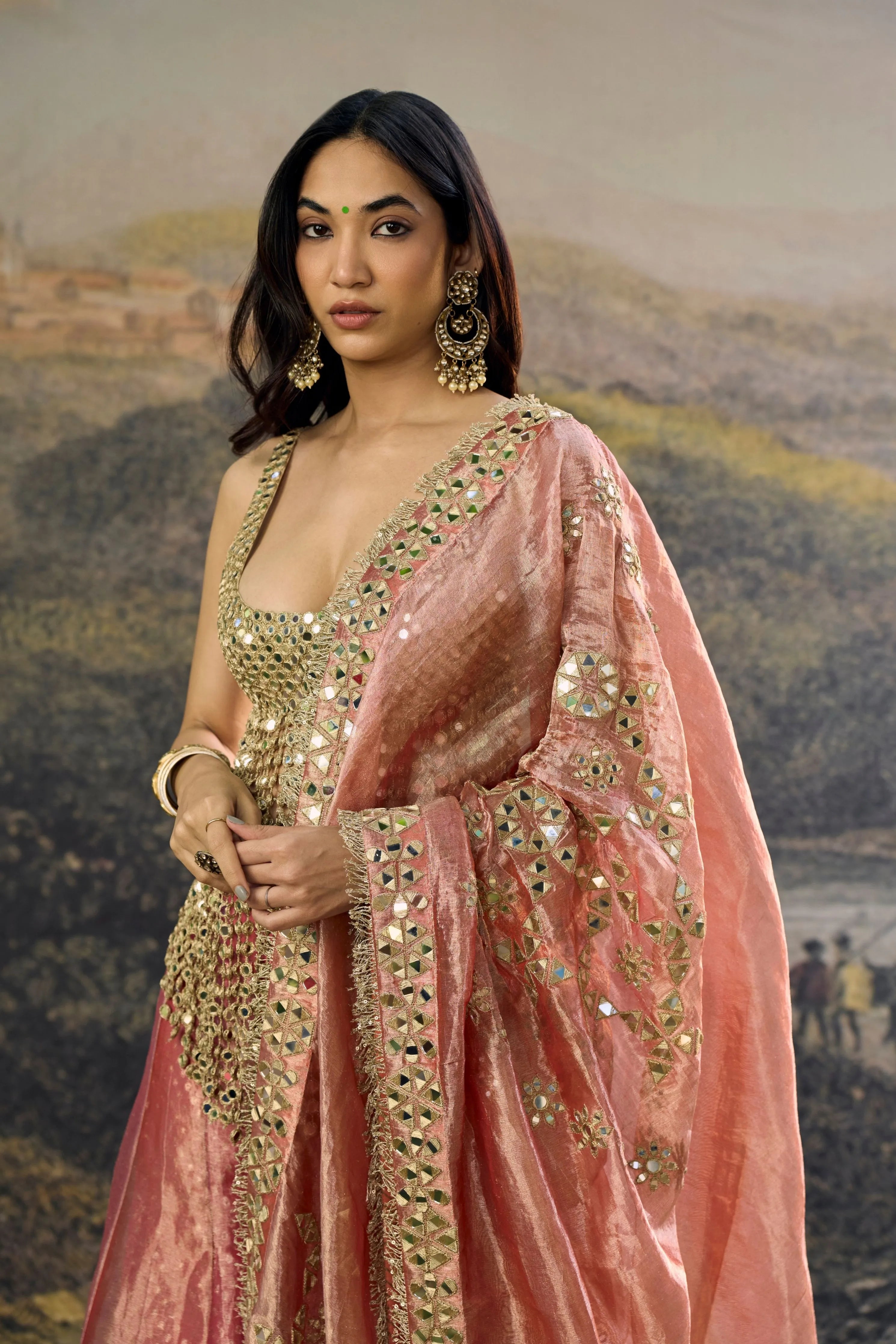 Gulbahar Mirror Sharara Set